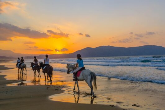Horse Riding
